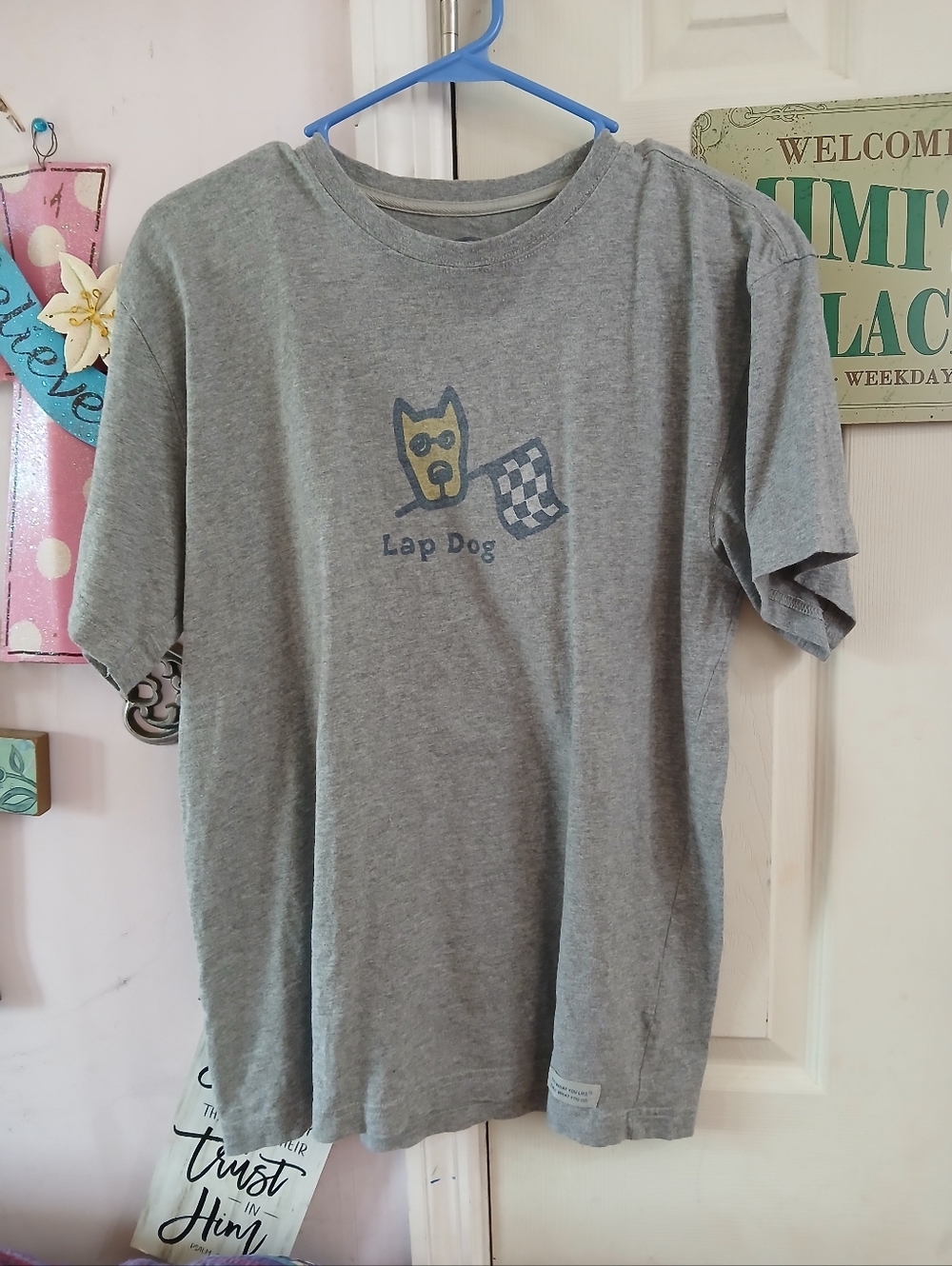 Life Is Good Lap Dog Racing Graphic Small Crusher Tee T Shirt Short Sleeve Gray